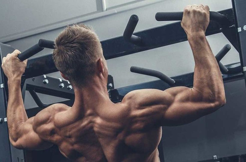biceps and back calisthenics